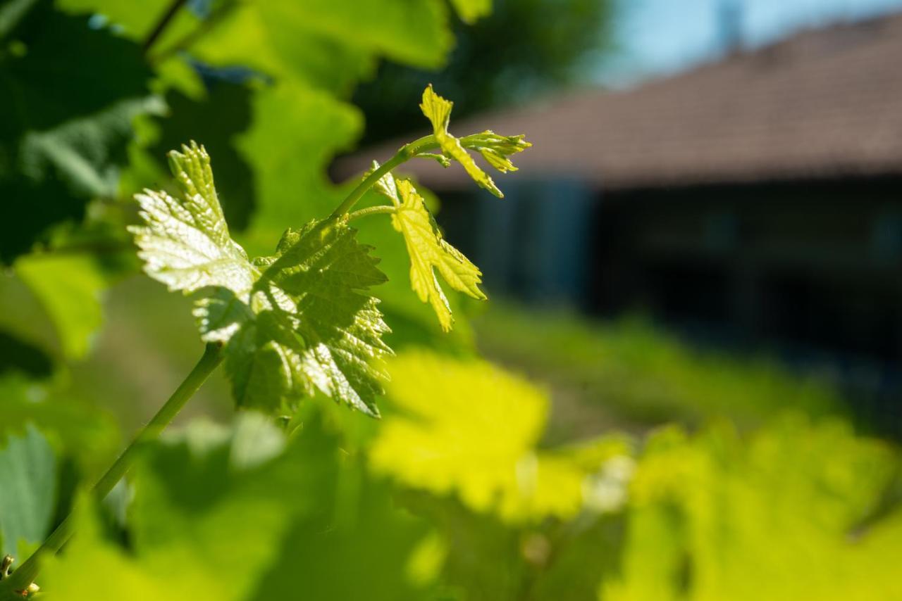 Relais La Dolce Vite Villa San Vendemiano Dış mekan fotoğraf
